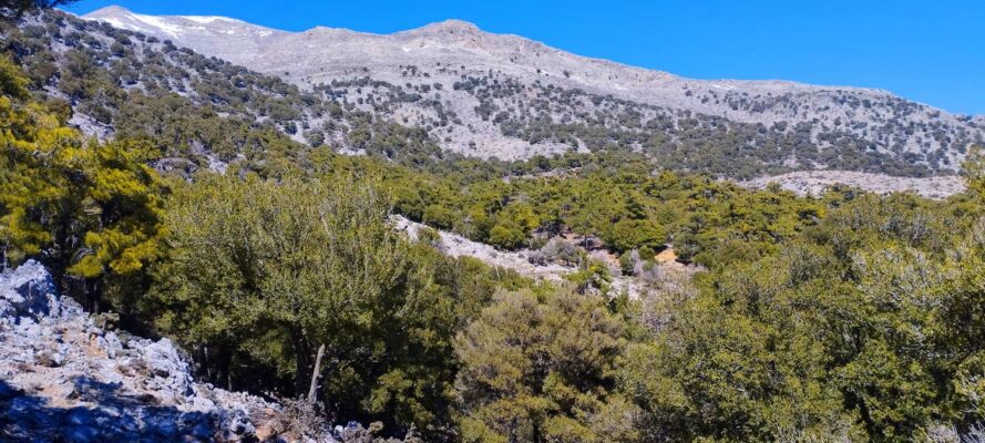 Selakano Village - Avarsami Pass E4 Trail