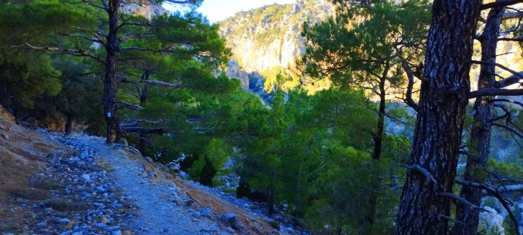 Bufanis Gorge in Se;alano, Ierapetra