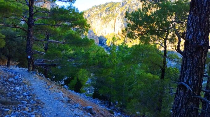 Bufanis Gorge In Se;alano, Ierapetra