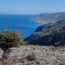 Skotini Gorge, East Crete