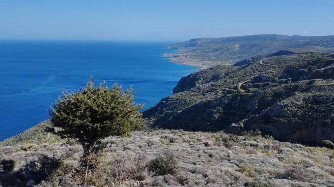 Skotini Gorge, East Crete