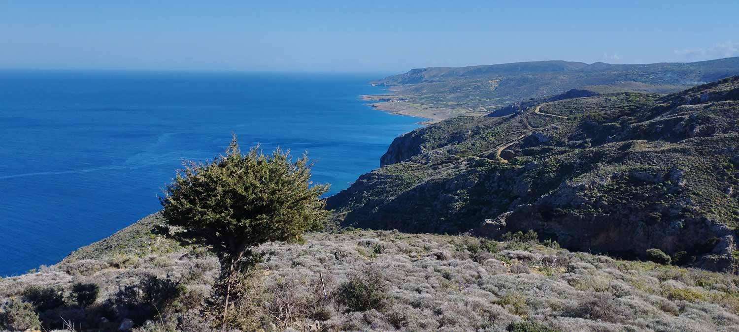 Skotini Gorge, East Crete