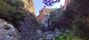 Andrianos Gorge