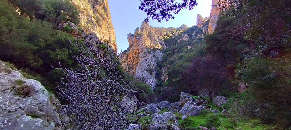 Andrianos Gorge